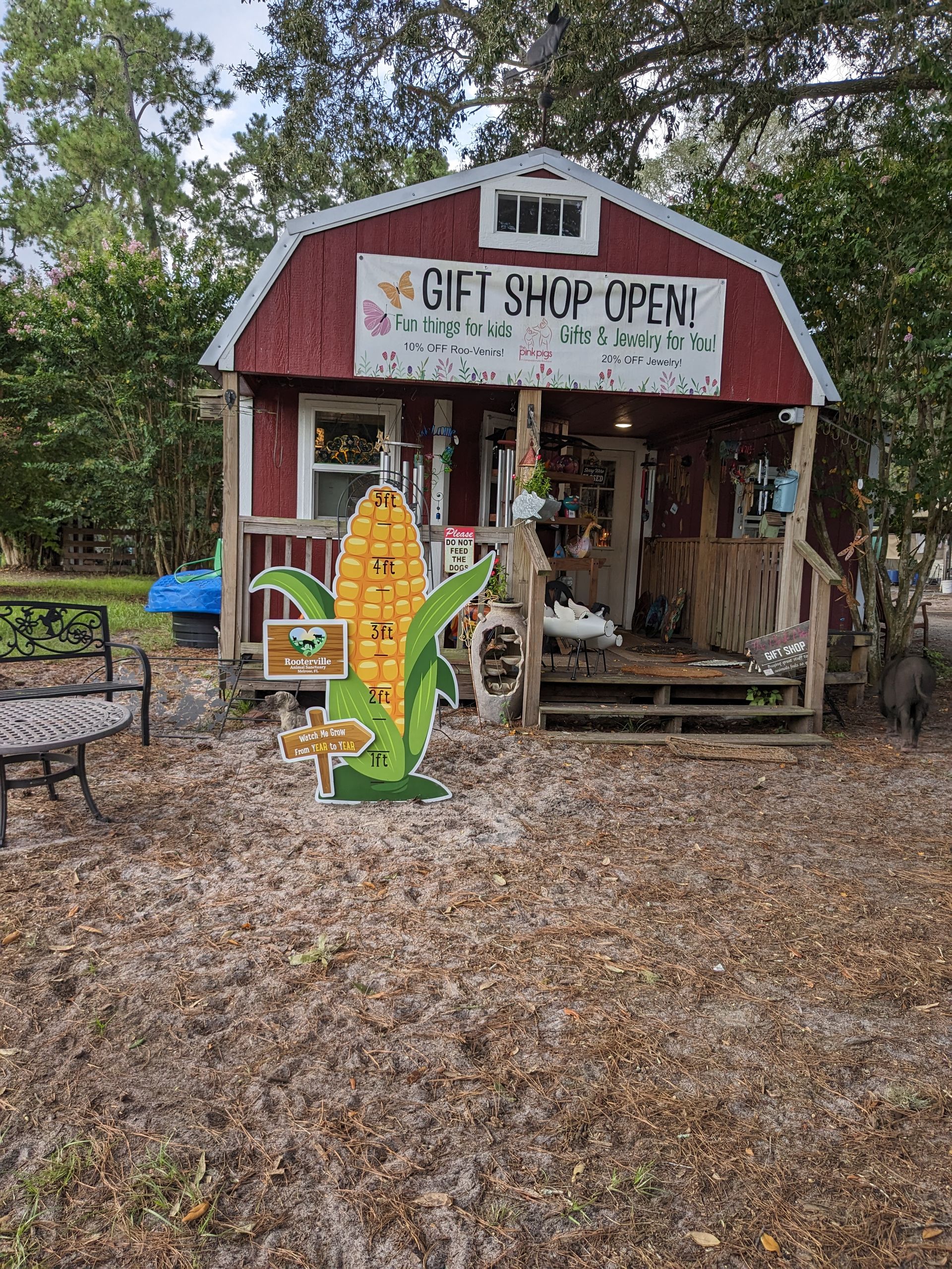 The red Pink Pigs gift shop with an OPEN banner