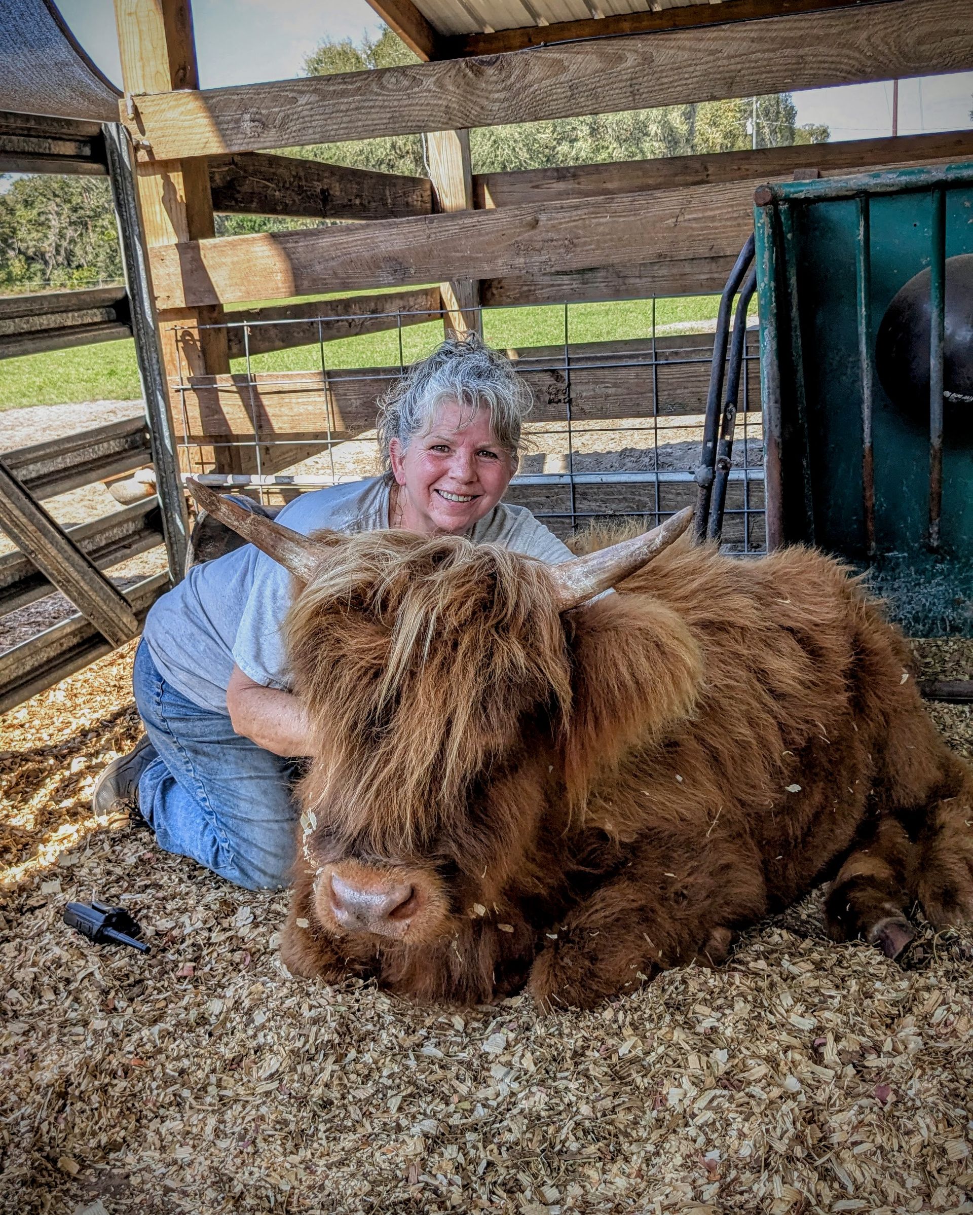 Elaine West with her arms around Jett the Highland cow