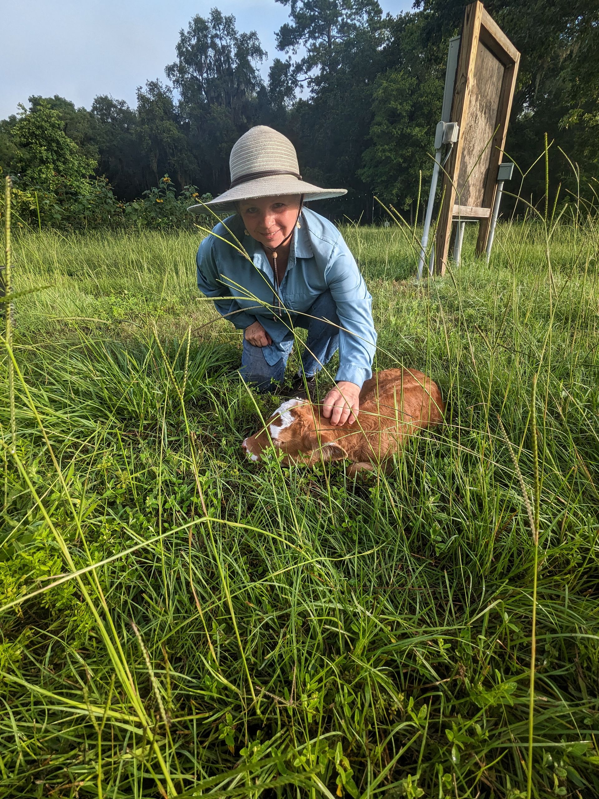 Elaine kneeling in tall grass beside a newborn calf